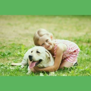 Pet Insurance Companies