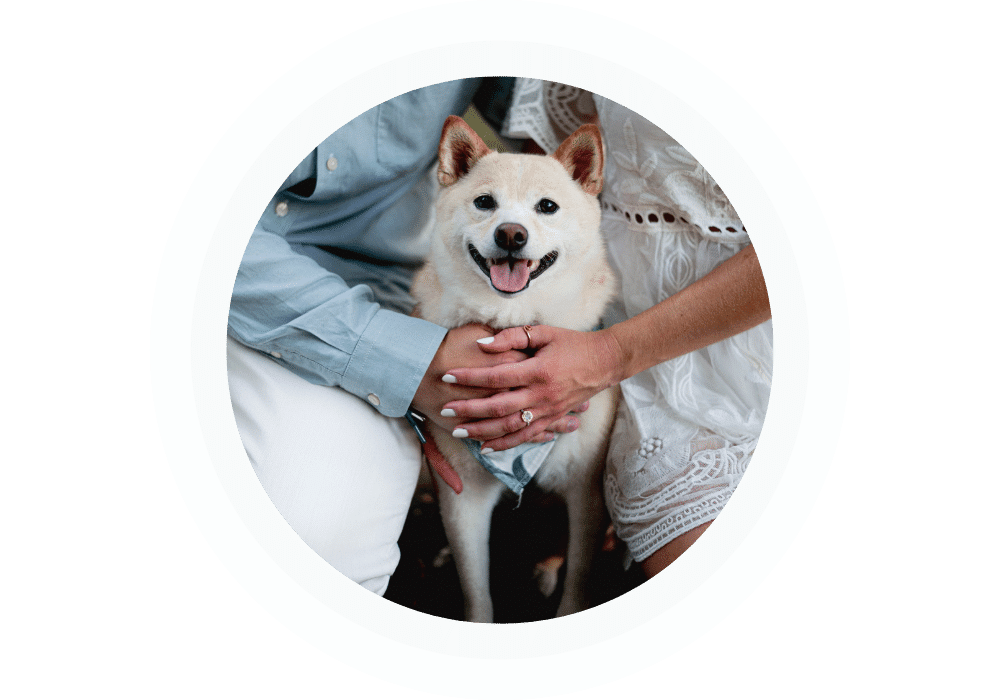 Berry-Insurance-Pet-Insurance