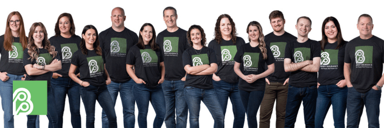 Berry Insurance’s 8 Core Values