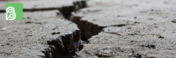 Do I need Earthquake Insurance?