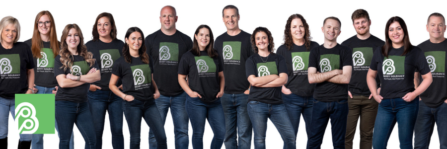 Berry Insurance’s 8 Core Values